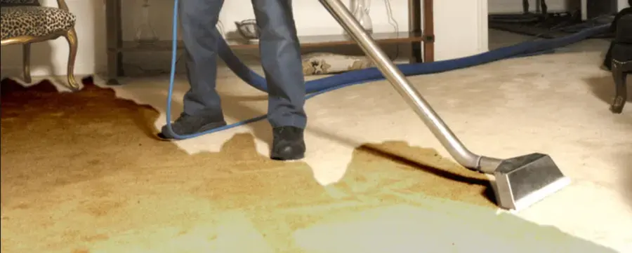 Extraction wand pulling water off a carpet in Huntington Station, NY
