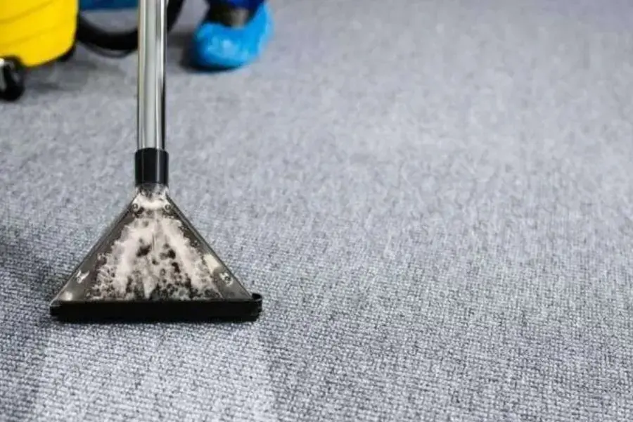 Extraction wand pulling water out of a carpet in Huntington Station, NY